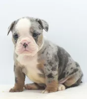 processed/3e0f09a0-3cc6-4085-bf7d-8f9732367f69/listing/7433ca31-8651-41d2-9f81-d83c39f6c691/5286ff56-a1dd-4c58-8291-36bce69e371c