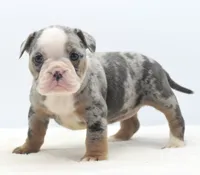 processed/3e0f09a0-3cc6-4085-bf7d-8f9732367f69/listing/7433ca31-8651-41d2-9f81-d83c39f6c691/ab5fe266-c911-4448-95b1-4fcca9ffee4a