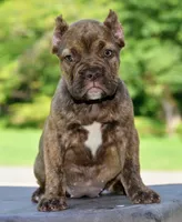 processed/3e0f09a0-3cc6-4085-bf7d-8f9732367f69/listing/94e302cf-479e-4203-94b4-26564c167abe/0ba10c93-e81c-40b2-a60a-6c5e747485fc