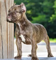 processed/3e0f09a0-3cc6-4085-bf7d-8f9732367f69/listing/94e302cf-479e-4203-94b4-26564c167abe/2b8bf56c-27af-4dd4-93f1-bbb3176512de