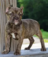 processed/3e0f09a0-3cc6-4085-bf7d-8f9732367f69/listing/94e302cf-479e-4203-94b4-26564c167abe/606a52b3-7349-42a6-9898-834a85234cd1