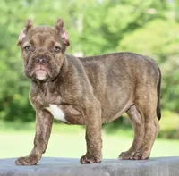 processed/3e0f09a0-3cc6-4085-bf7d-8f9732367f69/listing/94e302cf-479e-4203-94b4-26564c167abe/e6fe4c4b-2f14-42a3-a1ab-9b3ec45e3c50