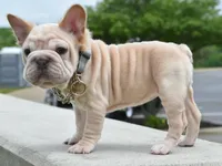 processed/3e0f09a0-3cc6-4085-bf7d-8f9732367f69/listing/cb34688b-1115-4f03-9ef1-703acce02801/17a7f993-446e-4e43-a5da-e40a32e6be0e