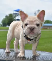 processed/3e0f09a0-3cc6-4085-bf7d-8f9732367f69/listing/cb34688b-1115-4f03-9ef1-703acce02801/2166230a-abe3-405e-ad43-87251f30b83f