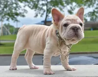 processed/3e0f09a0-3cc6-4085-bf7d-8f9732367f69/listing/cb34688b-1115-4f03-9ef1-703acce02801/356bed7d-d92b-4013-85fb-0ec1f73e1952