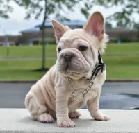 processed/3e0f09a0-3cc6-4085-bf7d-8f9732367f69/listing/cb34688b-1115-4f03-9ef1-703acce02801/47bb5d3d-cec4-4bcc-8d73-c695cb115e05