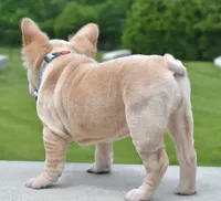 processed/3e0f09a0-3cc6-4085-bf7d-8f9732367f69/listing/cb34688b-1115-4f03-9ef1-703acce02801/a2360699-b45a-4f52-ac52-1b4979e2d393