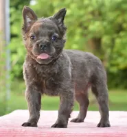 processed/3e0f09a0-3cc6-4085-bf7d-8f9732367f69/listing/e83369d2-8e31-4e04-ae57-8fc81aef66f2/149a91c1-cce7-4985-b46c-53192aefbba5