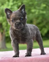 processed/3e0f09a0-3cc6-4085-bf7d-8f9732367f69/listing/e83369d2-8e31-4e04-ae57-8fc81aef66f2/5d4f3c14-38c5-4aa0-a1f7-b0519283333b