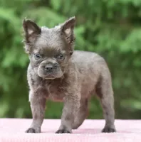 processed/3e0f09a0-3cc6-4085-bf7d-8f9732367f69/listing/e83369d2-8e31-4e04-ae57-8fc81aef66f2/cf709f67-9bdb-4eec-9b4b-1780c70d22cf