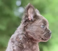 processed/3e0f09a0-3cc6-4085-bf7d-8f9732367f69/listing/e83369d2-8e31-4e04-ae57-8fc81aef66f2/f6371020-7ddd-4f00-977b-a64dc7b20453