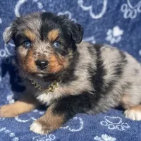 processed/3e0fc0c5-b277-4ba2-b0fd-55a3f6b543a4/facility/0db95947-a1b8-4e0e-8fc2-15eea46e9178