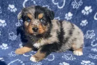 processed/3e0fc0c5-b277-4ba2-b0fd-55a3f6b543a4/facility/0db95947-a1b8-4e0e-8fc2-15eea46e9178