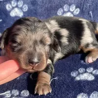 processed/3e0fc0c5-b277-4ba2-b0fd-55a3f6b543a4/facility/331f3c32-a8ff-482c-b480-2881acd320a9