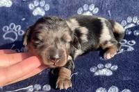 processed/3e0fc0c5-b277-4ba2-b0fd-55a3f6b543a4/facility/331f3c32-a8ff-482c-b480-2881acd320a9