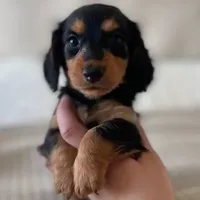 processed/3e0fc0c5-b277-4ba2-b0fd-55a3f6b543a4/facility/534675fd-816c-496b-a06e-5c168068a52f