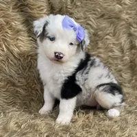 processed/3e0fc0c5-b277-4ba2-b0fd-55a3f6b543a4/facility/61f470d6-8753-4e9a-86aa-be61e786f115