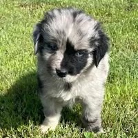 processed/3e0fc0c5-b277-4ba2-b0fd-55a3f6b543a4/facility/62982595-1999-4e77-8373-bd8bbff4f3d9