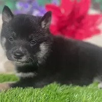 processed/3e0fc0c5-b277-4ba2-b0fd-55a3f6b543a4/facility/757643ea-4e8b-4c06-9f3f-5c7192db6401