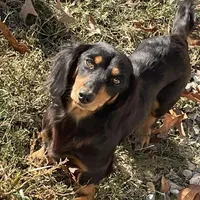 processed/3e0fc0c5-b277-4ba2-b0fd-55a3f6b543a4/facility/8795f799-9080-4fb8-93ce-1cc9e93bf2a2