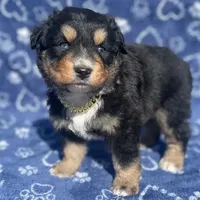 processed/3e0fc0c5-b277-4ba2-b0fd-55a3f6b543a4/facility/91941b03-db0a-4c9b-b53a-e68afdf5480f