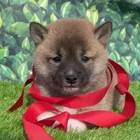 processed/3e0fc0c5-b277-4ba2-b0fd-55a3f6b543a4/facility/e25bf945-a756-4dcf-a3c2-e7576b1a3412