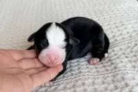 processed/3e0fc0c5-b277-4ba2-b0fd-55a3f6b543a4/listing/64932921-7d3b-4c33-8a4e-24a7a1b15184/89937bef-420a-4ec9-8614-71d98a12e4b8