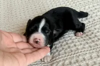 processed/3e0fc0c5-b277-4ba2-b0fd-55a3f6b543a4/listing/655965fa-f961-4f6b-ac80-9a69bc83791e/c576fcf4-394a-4aa1-898e-f54c71335f3b