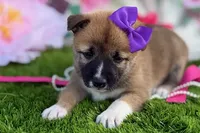 processed/3e0fc0c5-b277-4ba2-b0fd-55a3f6b543a4/listing/a8c020d9-a084-4c6f-b743-2498111d509c/11bc5c99-415e-40f8-b160-21129cd62437