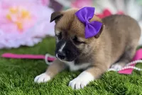 processed/3e0fc0c5-b277-4ba2-b0fd-55a3f6b543a4/listing/a8c020d9-a084-4c6f-b743-2498111d509c/26988358-515d-400d-91b0-5673de0811e1