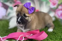 processed/3e0fc0c5-b277-4ba2-b0fd-55a3f6b543a4/listing/a8c020d9-a084-4c6f-b743-2498111d509c/2dbd4cff-63fc-49d1-a19e-021b40bcb0b3