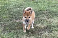 processed/3e0fc0c5-b277-4ba2-b0fd-55a3f6b543a4/listing/a8c020d9-a084-4c6f-b743-2498111d509c/977c0178-60b2-4b23-83e8-a004a46c9bc2