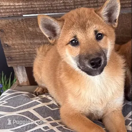 processed/3e0fc0c5-b277-4ba2-b0fd-55a3f6b543a4/listing/f7e7d140-b8c0-411a-8d64-2059c218f994/0b8e477e-80c4-438c-a994-6ece80a37bef