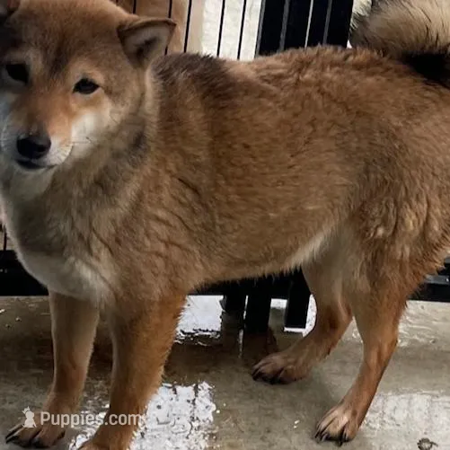 processed/3e0fc0c5-b277-4ba2-b0fd-55a3f6b543a4/listing/f7e7d140-b8c0-411a-8d64-2059c218f994/138aed5a-c864-46a7-b7da-16bc88a8a2de