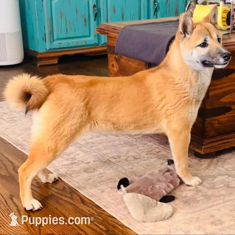 processed/3e0fc0c5-b277-4ba2-b0fd-55a3f6b543a4/listing/f7e7d140-b8c0-411a-8d64-2059c218f994/1f4638f4-eb2c-48d1-96a5-24c4c651577e