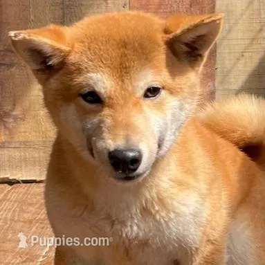 processed/3e0fc0c5-b277-4ba2-b0fd-55a3f6b543a4/listing/f7e7d140-b8c0-411a-8d64-2059c218f994/5fea020e-9049-4927-bfeb-975bd7c53a54