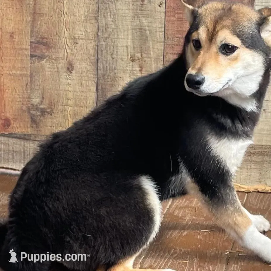 processed/3e0fc0c5-b277-4ba2-b0fd-55a3f6b543a4/listing/f7e7d140-b8c0-411a-8d64-2059c218f994/64f7f0e3-8cfb-4326-b8c3-99610610174c