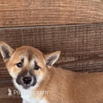 processed/3e0fc0c5-b277-4ba2-b0fd-55a3f6b543a4/listing/f7e7d140-b8c0-411a-8d64-2059c218f994/d71fb40b-681f-4528-8161-045a97b597ea