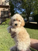 processed/3e118fc5-511b-456f-8315-de605d55e4ea/facility/068baf7f-6079-4485-bc51-adc134ebd49a