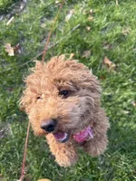 processed/3e118fc5-511b-456f-8315-de605d55e4ea/facility/07c47612-fc79-40ec-9373-9870326e38a6