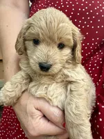 processed/3e118fc5-511b-456f-8315-de605d55e4ea/facility/1d4a01fe-6627-48b7-a4df-fb25033b0b79