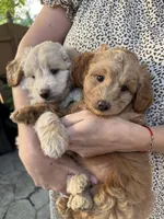 processed/3e118fc5-511b-456f-8315-de605d55e4ea/facility/372df198-2ef5-4169-adfc-6feb5ab69441