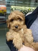 processed/3e118fc5-511b-456f-8315-de605d55e4ea/facility/ab43ed6a-c930-442a-bb09-f5efa663d650