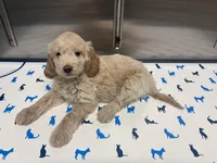 processed/3e118fc5-511b-456f-8315-de605d55e4ea/facility/b25737d3-9e43-4375-80d3-3cda179f5290