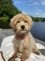 processed/3e118fc5-511b-456f-8315-de605d55e4ea/facility/ee4e9e38-e45e-4b74-89c3-22ea8eb7e293