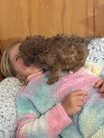 processed/3e19ebc1-cf54-4151-a2f2-cfcdc668dd54/listing/a9f548c0-d17c-414c-8e4f-872fba7e0bf4/ce73a548-283b-40cc-870c-32d42ac753e5