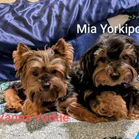 processed/3e1ab42e-4f89-40db-b2c8-16845c307f15/facility/3f487132-20ea-404c-b78e-b241f99a7074