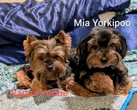 processed/3e1ab42e-4f89-40db-b2c8-16845c307f15/facility/3f487132-20ea-404c-b78e-b241f99a7074