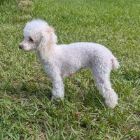 processed/3e1ab42e-4f89-40db-b2c8-16845c307f15/facility/76d97177-b896-452a-9066-9fa7707011e1