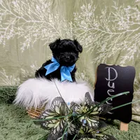 processed/3e1ab42e-4f89-40db-b2c8-16845c307f15/facility/8d455c45-566e-47e0-9591-a753c3a4c4ed